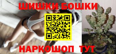 тгк Кингисепп