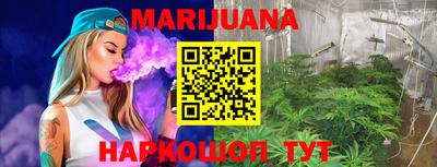 тгк Кингисепп