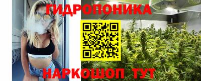 прущие крисы Коммунар